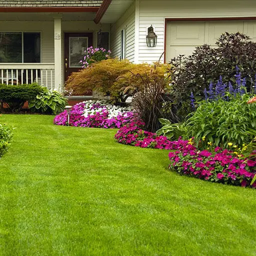 cropped-02_Curb-Appeal